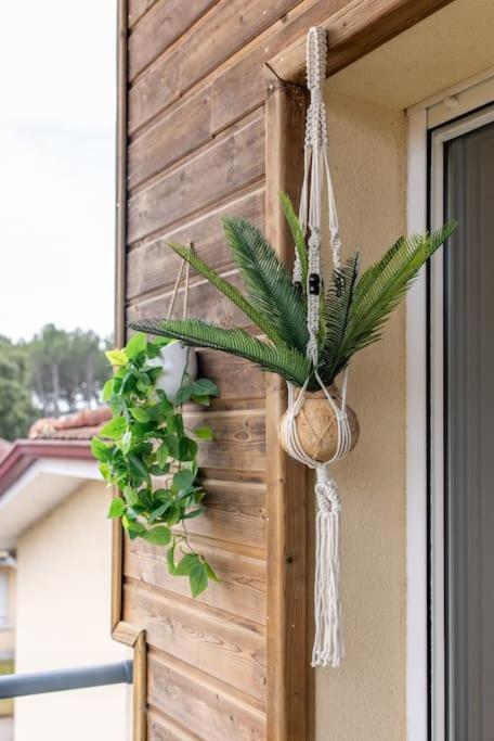Appartement Des Grands Lacs Sanguinet Luaran gambar